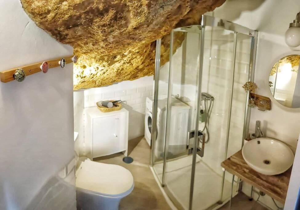 Casa Cueva La Luna Setenil De Las Bodegas Eksteriør billede